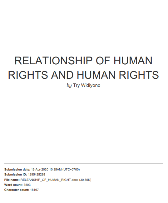 The Relationship Between Human Basic (Human Rights) Obligations and Human Rights